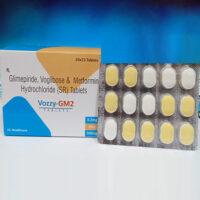Vozzy-GM2 Tablets