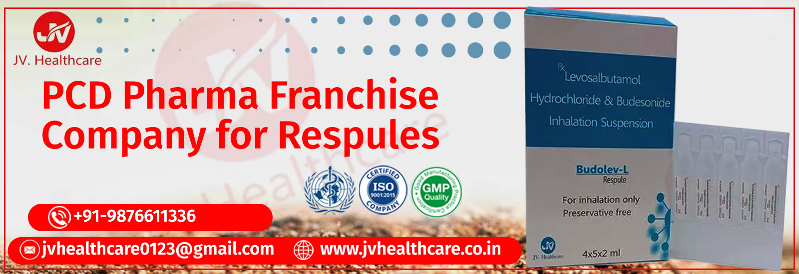 PCD Pharma Franchise For Respules in India