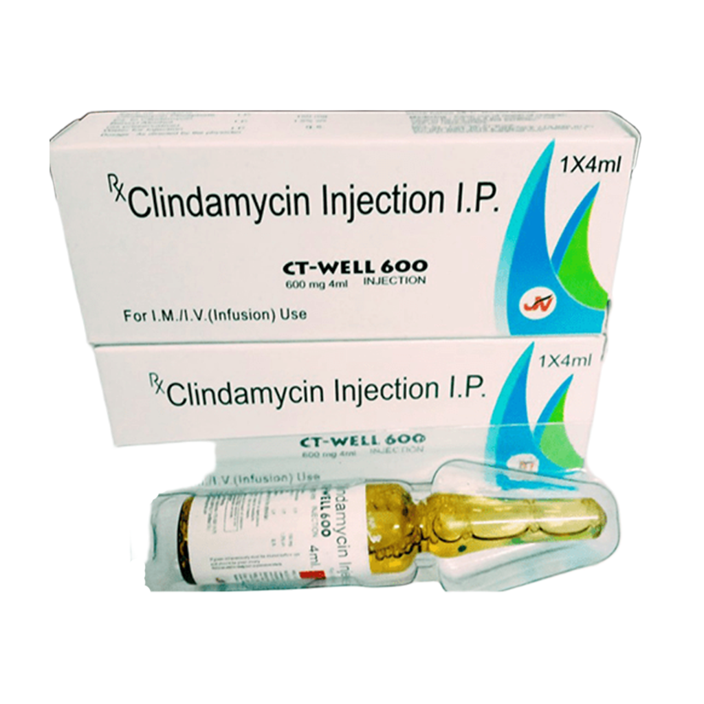 CT-WELL 600